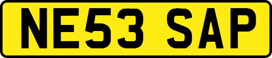 NE53SAP