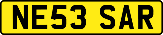 NE53SAR