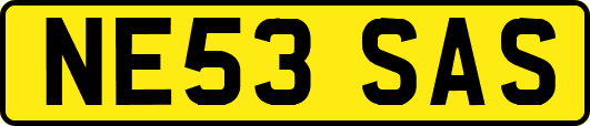NE53SAS