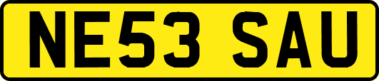 NE53SAU