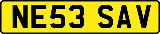 NE53SAV