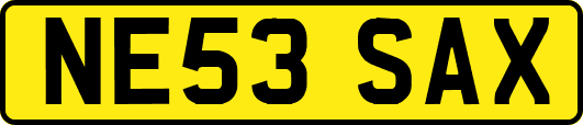 NE53SAX