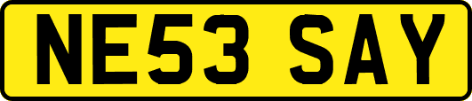 NE53SAY