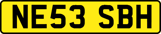 NE53SBH
