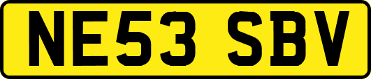 NE53SBV