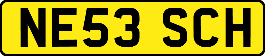 NE53SCH