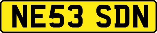 NE53SDN