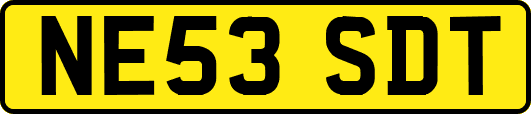 NE53SDT