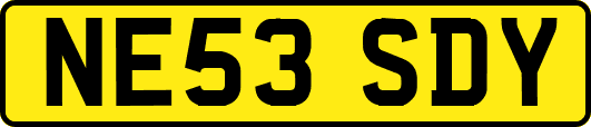 NE53SDY