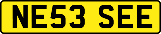 NE53SEE