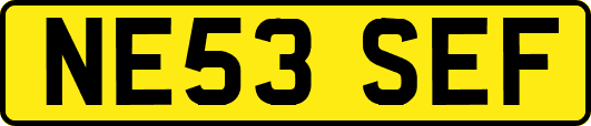 NE53SEF