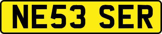 NE53SER