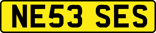 NE53SES