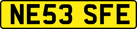NE53SFE