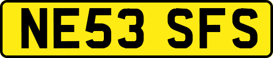 NE53SFS