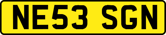 NE53SGN
