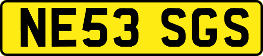 NE53SGS