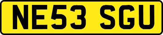 NE53SGU