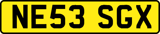 NE53SGX