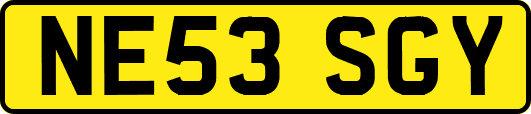 NE53SGY