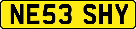 NE53SHY