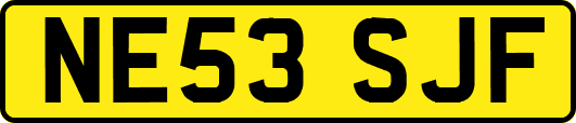 NE53SJF