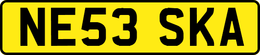 NE53SKA