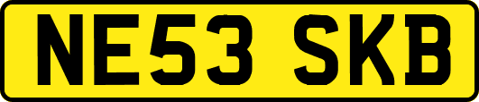 NE53SKB