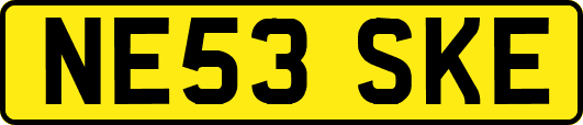 NE53SKE