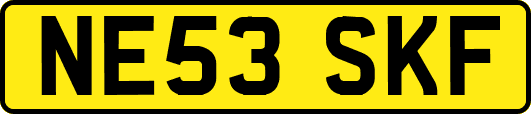 NE53SKF