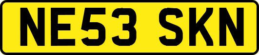 NE53SKN