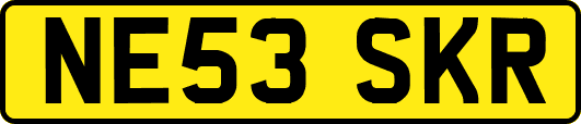 NE53SKR