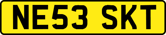 NE53SKT