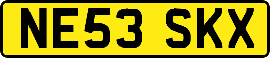 NE53SKX