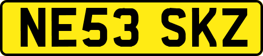 NE53SKZ