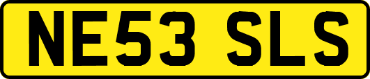 NE53SLS