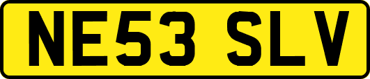 NE53SLV