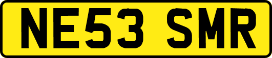 NE53SMR
