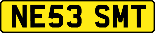 NE53SMT