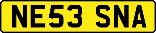 NE53SNA