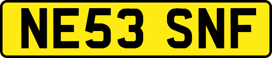 NE53SNF