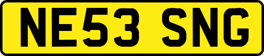NE53SNG
