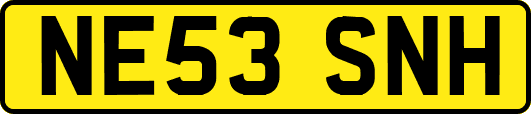 NE53SNH