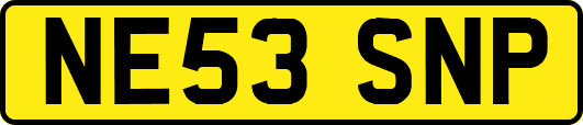 NE53SNP