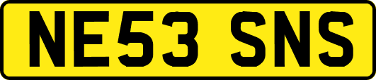 NE53SNS