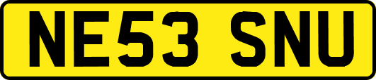 NE53SNU