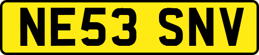 NE53SNV