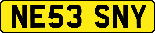 NE53SNY