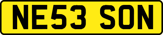 NE53SON
