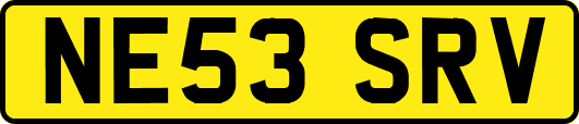 NE53SRV